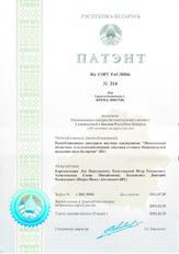 Наш Сертификат